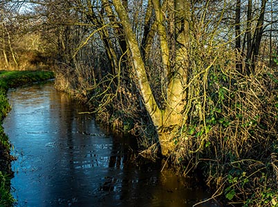 Landschap van de Hoge Dijk