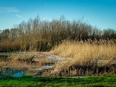 Landschap van de Hoge Dijk