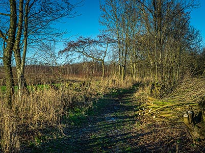 Landschap van de Hoge Dijk