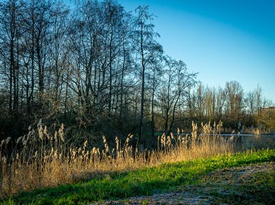 Landschap van de Hoge Dijk