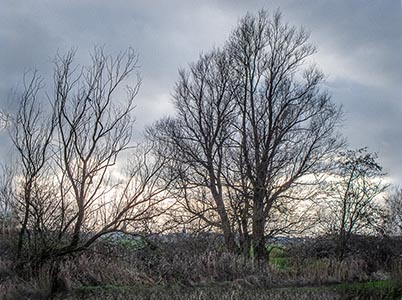 Landschap van de Hoge Dijk