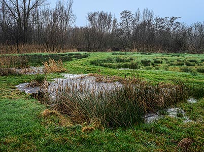 Landschap van de Hoge Dijk