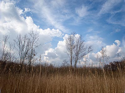 Landschap van de Hoge Dijk