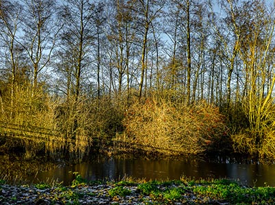 Landschap van de Hoge Dijk