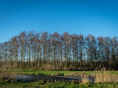 Landschap van de Hoge Dijk