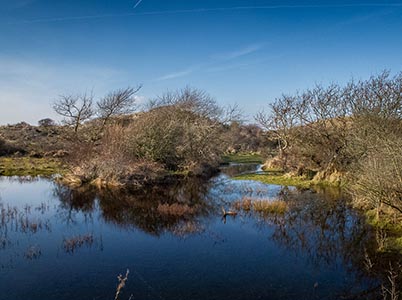 Duinlandschappen bij Bloemendaal