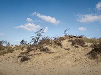 Duinlandschappen bij Bloemendaal