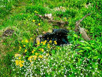 Natuurterrein Klarenbeek
