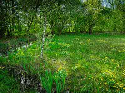 Natuurterrein Klarenbeek