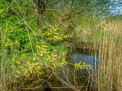 Natuurterrein Klarenbeek