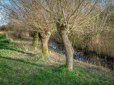 Natuurterrein Klarenbeek