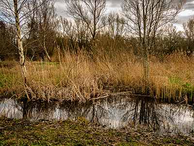 Natuurterrein Klarenbeek