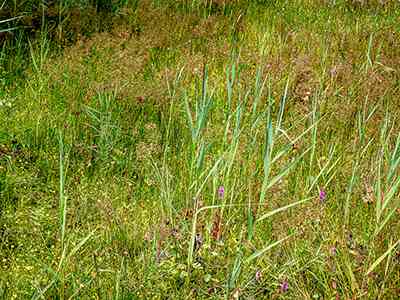 Natuurterrein Klarenbeek