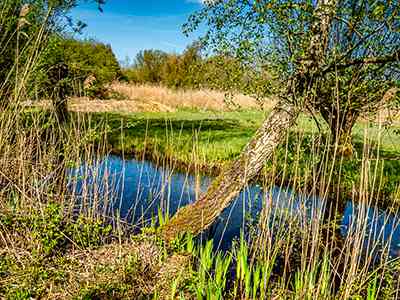 Natuurterrein Klarenbeek
