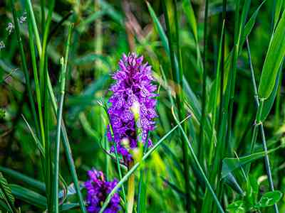 Natuurterrein Klarenbeek