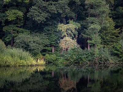 Landschap Veluwezoom