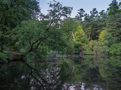Landschap Veluwezoom
