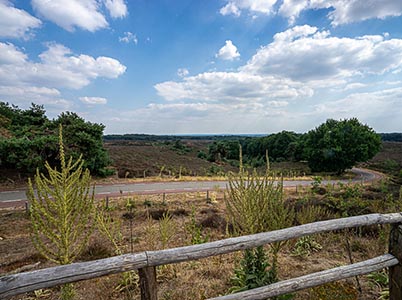 Landschap Veluwezoom