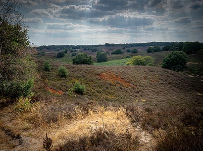 Landschap Veluwezoom