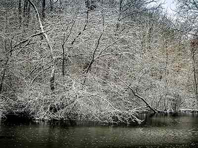 De Riethoek in de Winter
