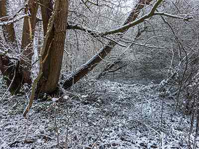 De Riethoek in de Winter
