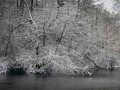 De Riethoek in de Winter