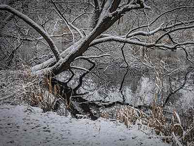 De Riethoek in de Winter