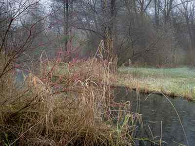 De Riethoek in de Winter