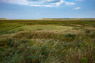 Landschappen op Texel