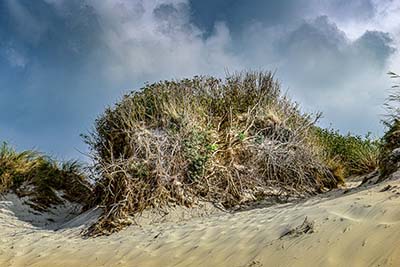 Landschappen op Texel