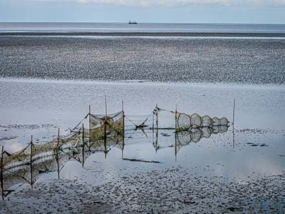Landschappen op Texel