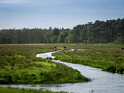 Landschappen op Texel
